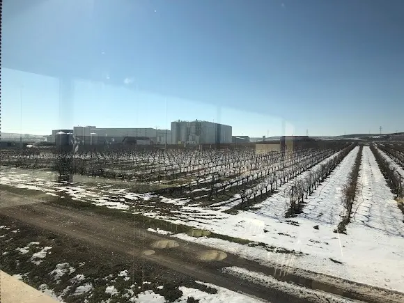 Bodegas Y Viñedos Mayor de Castilla .S.L - Tordesillas