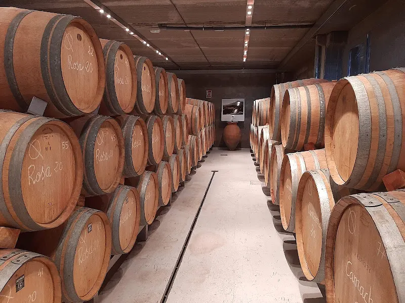 Bodegas Y Vinedos Bernabeleva - Bodega en Madrid - foto 2