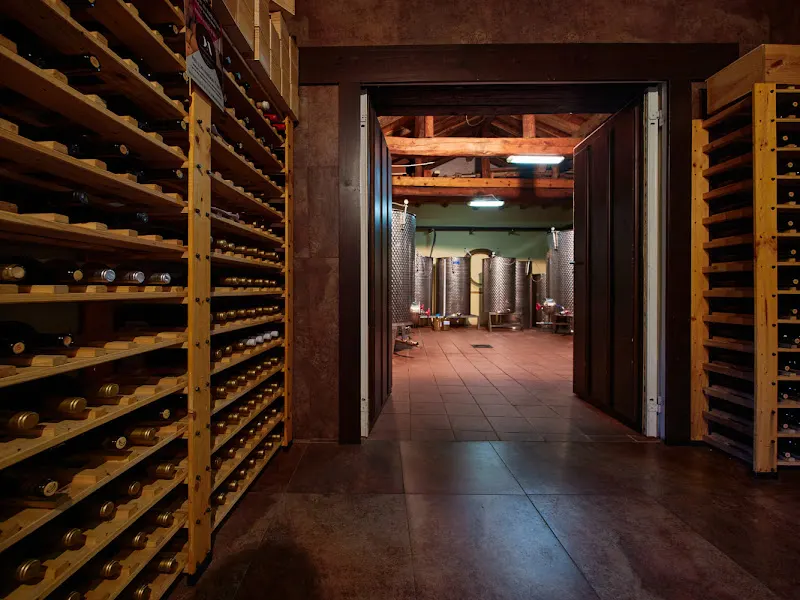 Las Dos Antiguas S.L. - Bodega en Navas de Oro - foto 2