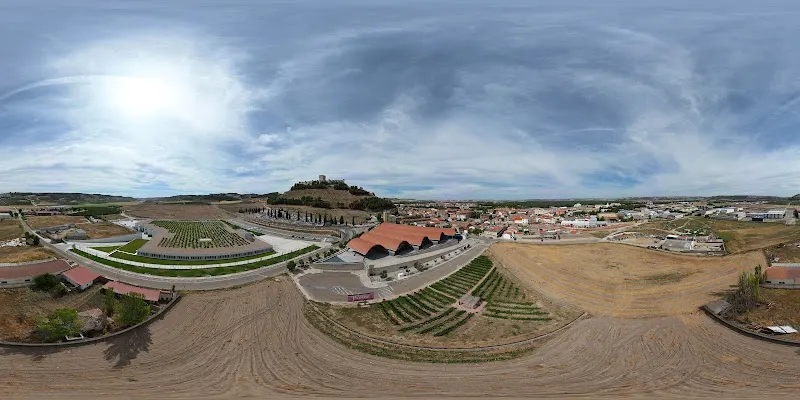Bodegas Protos - Bodega en Penafiel - foto 2