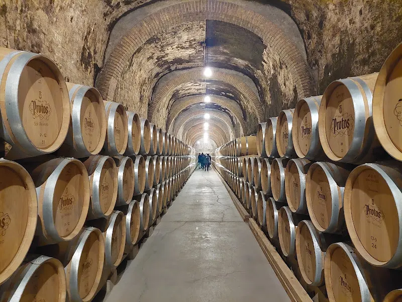 Bodegas Protos - Bodega en Penafiel - foto 3