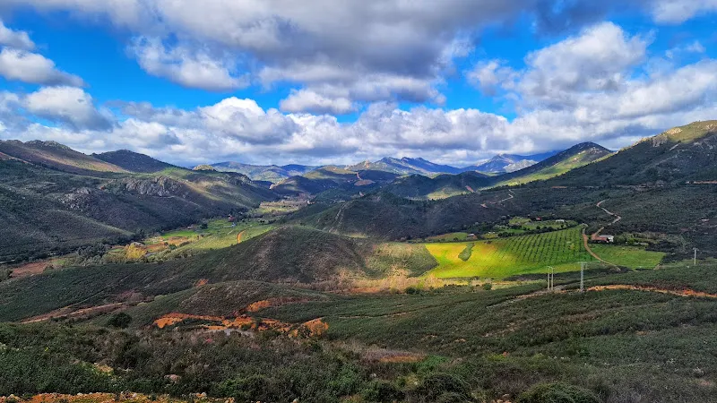 Bodegas Ruiz Torres - Bodega en Canamero - foto 2