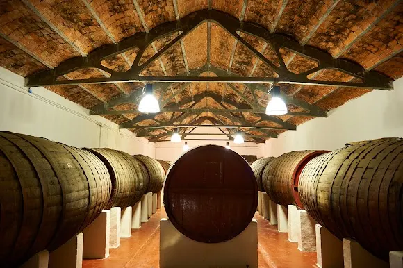 Bodegas De Alberto - Tordesillas