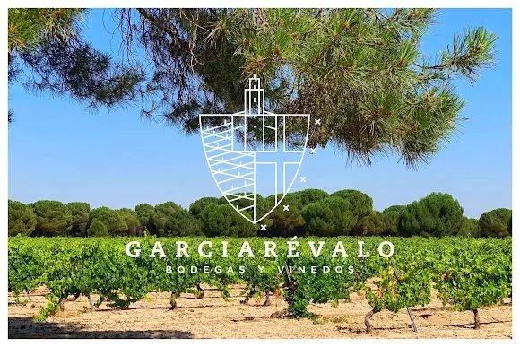 Bodegas Garciarevalo - Matapozuelos
