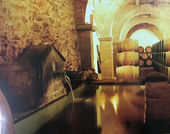 Bodegas Medina - El Convento