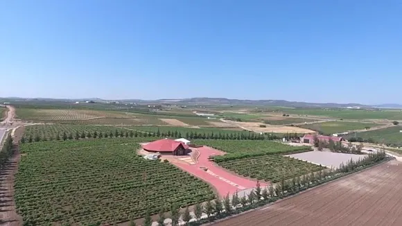 Bodega Pago de las Encomiendas - Villafranca de los Barros
