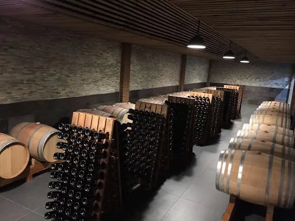 BODEGA ENCINA BLANCA DE ALBURQUERQUE - Badajoz