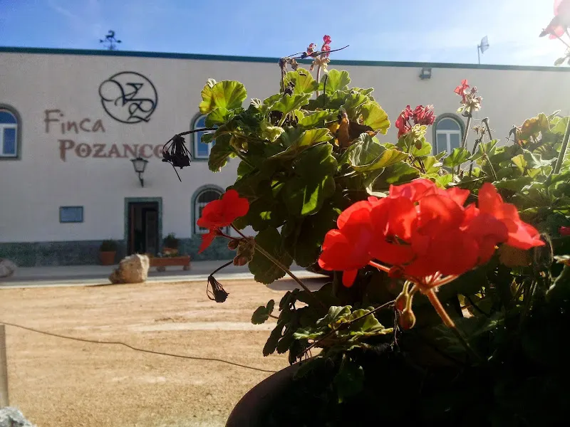 La Bodega del Boticario. Domblasco - Zafra