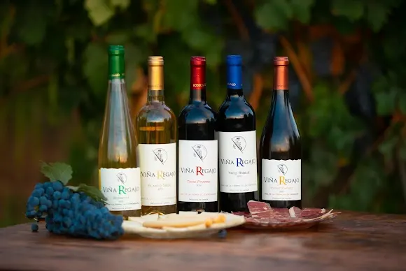Bodegas Regajo - Jerez de los Caballeros