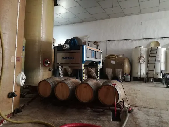 Bodegas Pérez Palomino - Cáceres