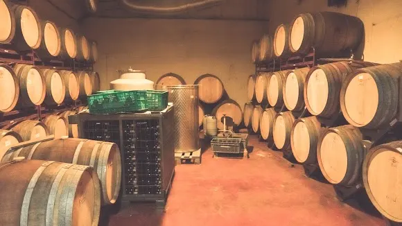 Bodega Colonias Galeón - Sevilla