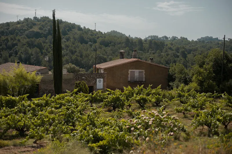 Celler Can Morral del Molí - Bodega en Abrera - foto 2