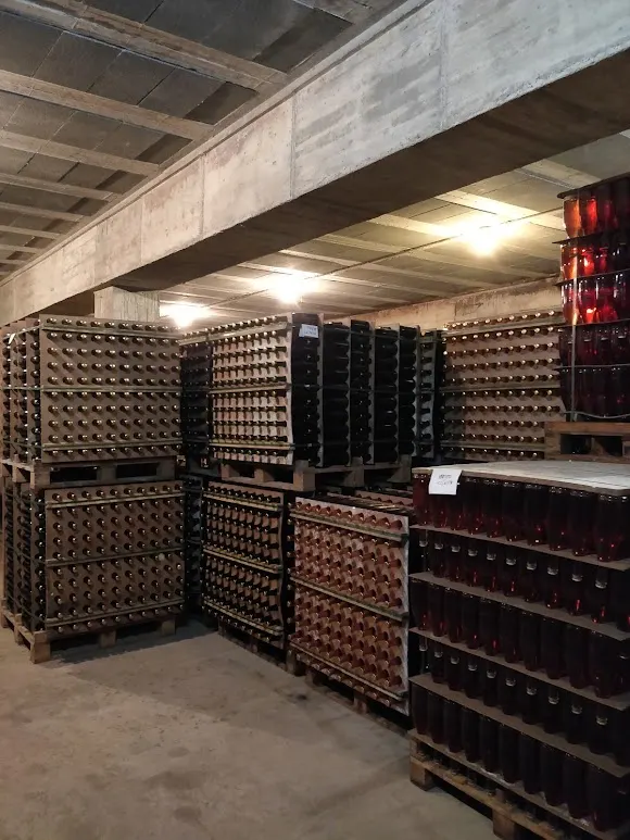 Vinya Escudé - Celler Jordi Lluch