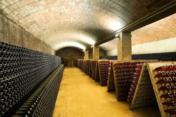Celler Vell - Martorell