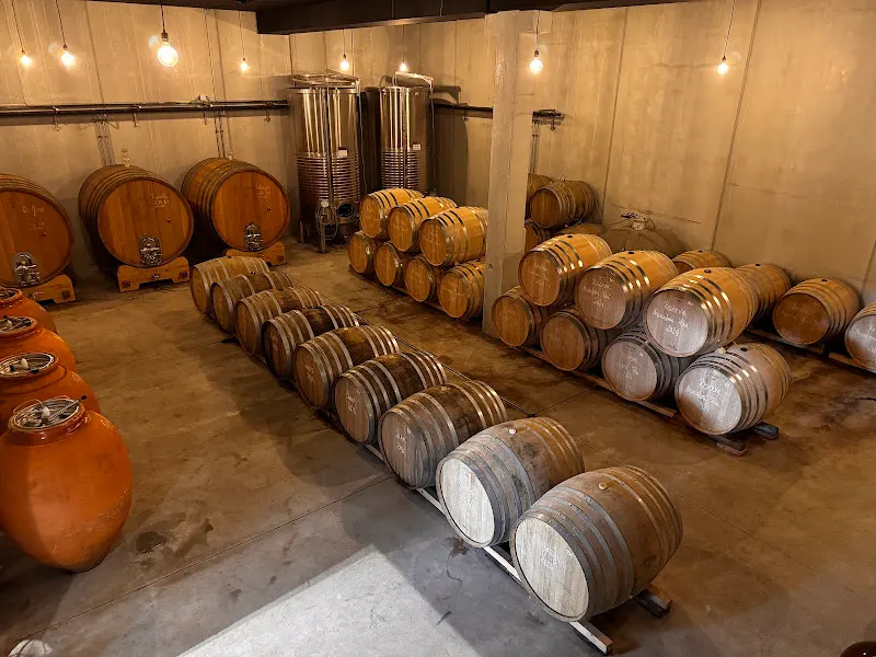 AT Roca - Celler i visites