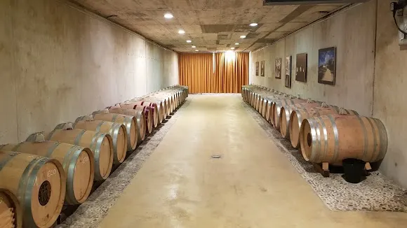 Can Ràfols dels Caus