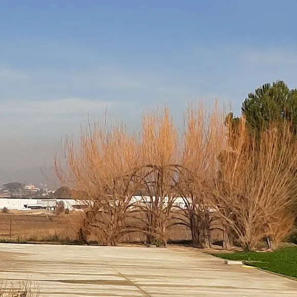 Bodegues Pinord. Mas Muntanyans