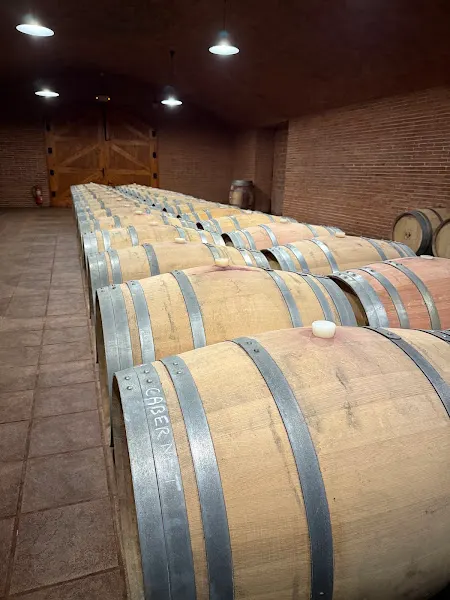Bodegues Bellod S.A - Bodega en Sant Joan Despí - foto 2