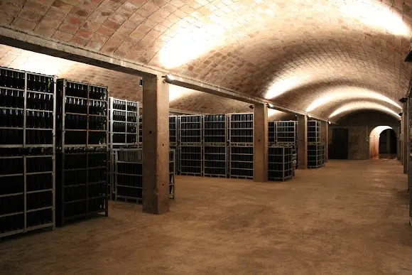 Bodegas Canals & Munné Vinos y Cavas. Visitas Sant Sadurni - Martorell