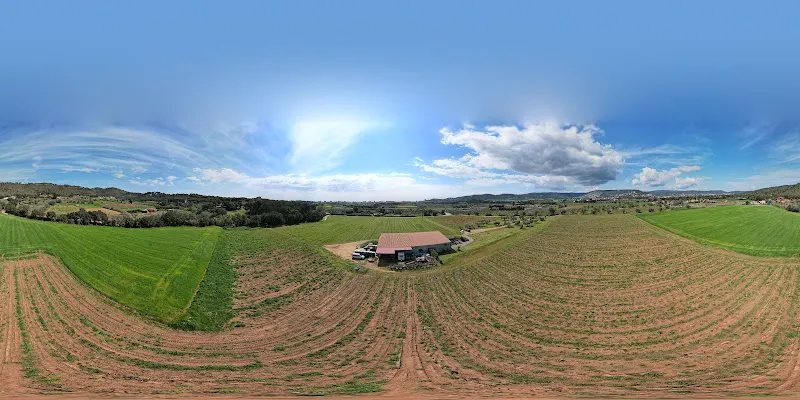 Celler Viníric - Rutes Enoturisme - Bodega en Palamós - foto 2