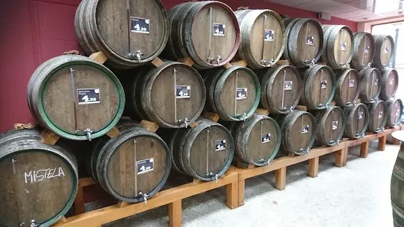 WINE PALACE LLÍVIA