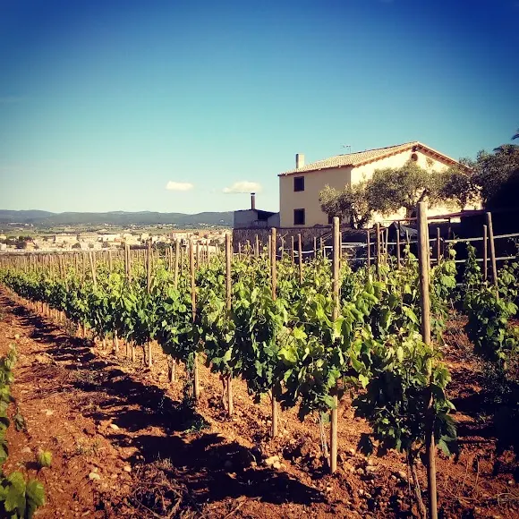 Clos dels Guarans - Vilanova i la Geltrú