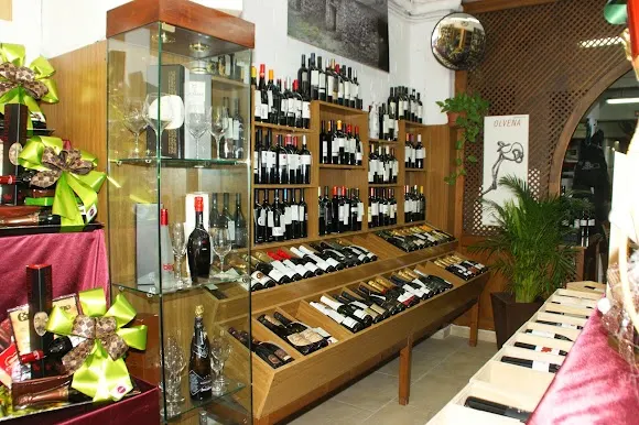 Alsivins SL