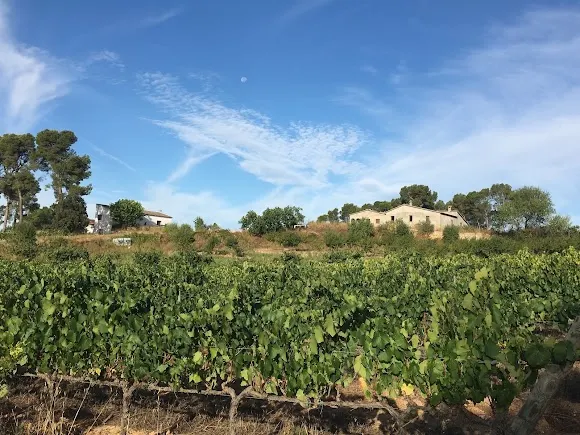 Clot De Les Soleres
