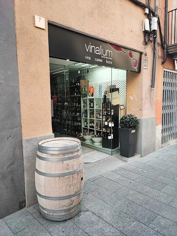 Vinalium Vic - Vic