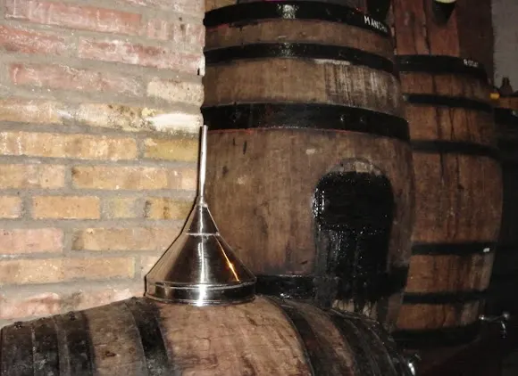 Bodega Sala - Vic