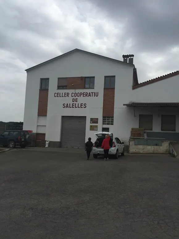 Celler Cooperatiu de Salelles SCCL