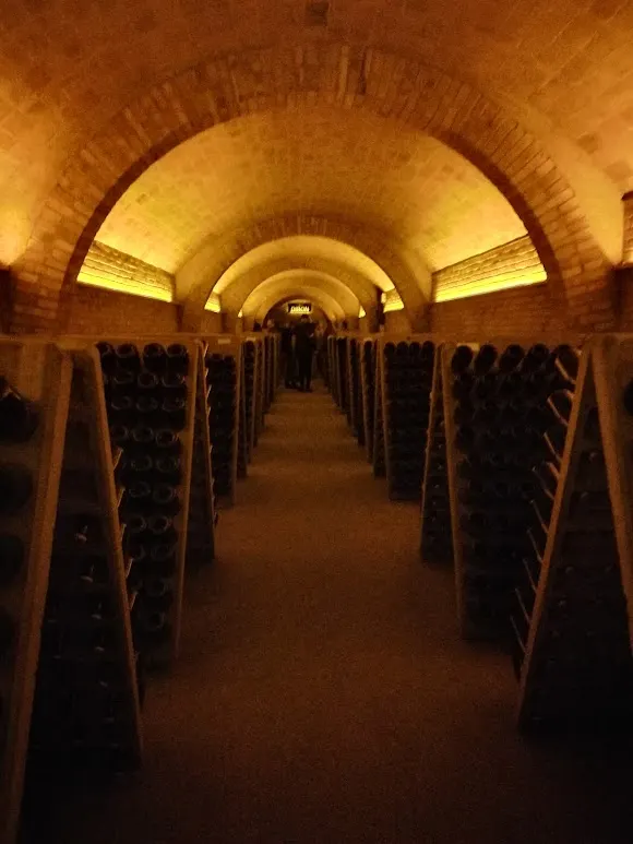 Bodegas Pinord