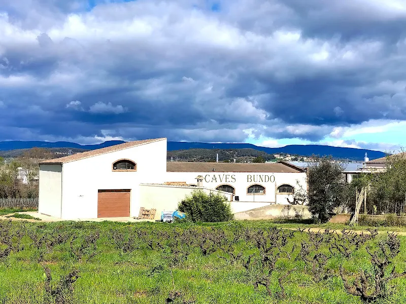 Caves Joan Bundó Pons - Bodega en Pacs del Penedes - foto 2