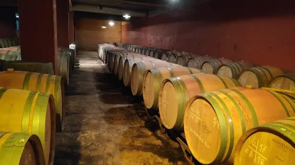 Parató Vins i Caves - Martorell