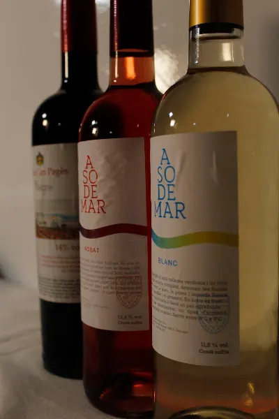 Celler Can Pagès - Bodega en Sant Pere de Ribes - foto 2