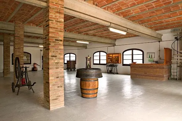 Finca Batllori - Caves Olivé Batllori - Martorell
