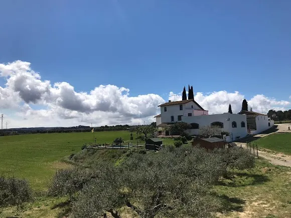 Cellers Carol Vallès
