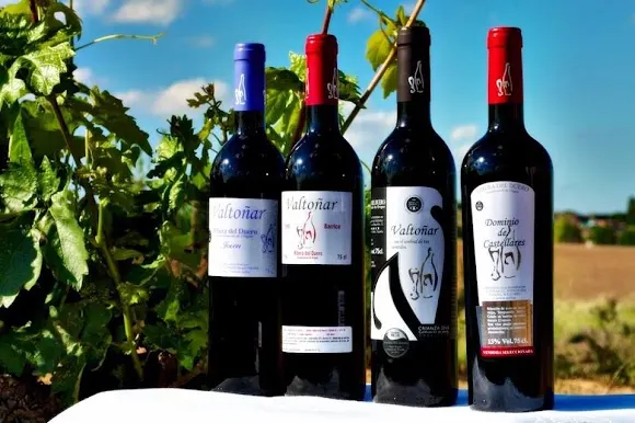 Valtoñar Bodega Ribera del Duero