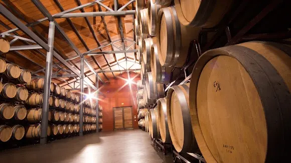 Bodega Solterra (Compañía Vinícola Solterra) - Aranda de Duero