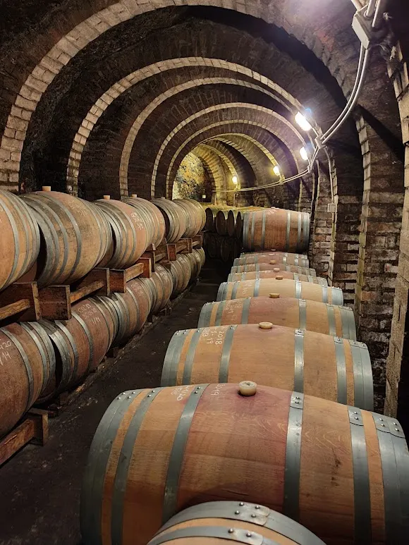 Bodegas Covarrubias - Burgos