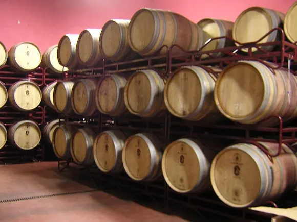 Bodegas Valdesneros - Bodega en Palencia