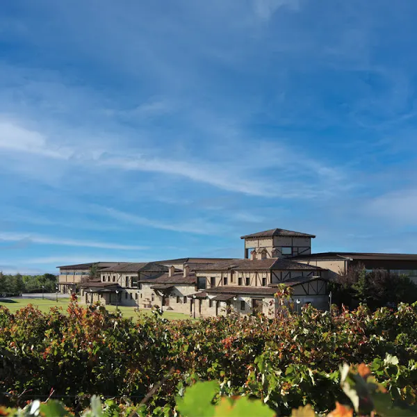Bodega Viña Arnáiz - Bodega en Aranda de Duero - foto 2