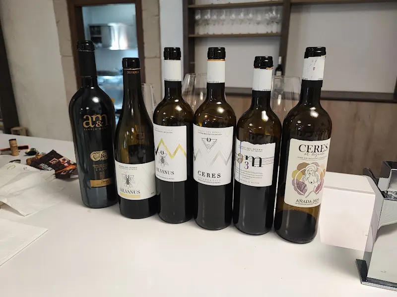 Bodegas Asenjo & Manso - Bodega en Aranda de Duero - foto 2
