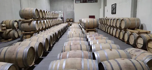 Bodega Territorio Luthier - Aranda de Duero