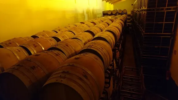 Bodegas Valdubón