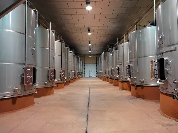 Bodegas Díez Llorente SL