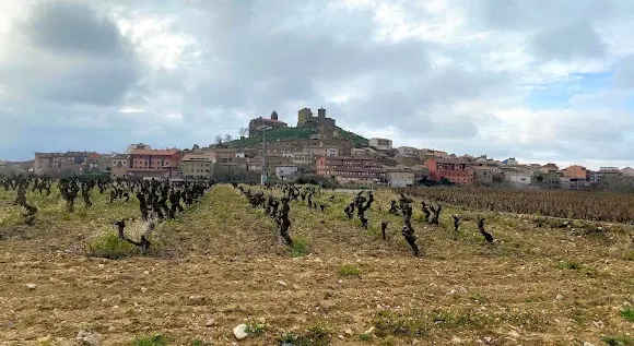 Viñedos Sierra Cantabria