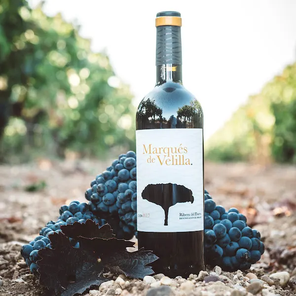 Bodegas Marqués de Velilla (GRANDES BODEGAS S.L.)