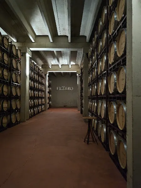 Viñedos y Bodegas García Figuero - Bodega en Horra (La) - foto 2