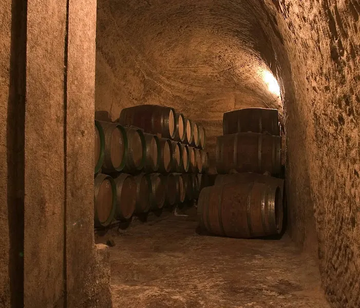 Bodegas Daniel Puras | Vinos Cantiga | Bodega Rioja Alta - Bodega en Briones - foto 2